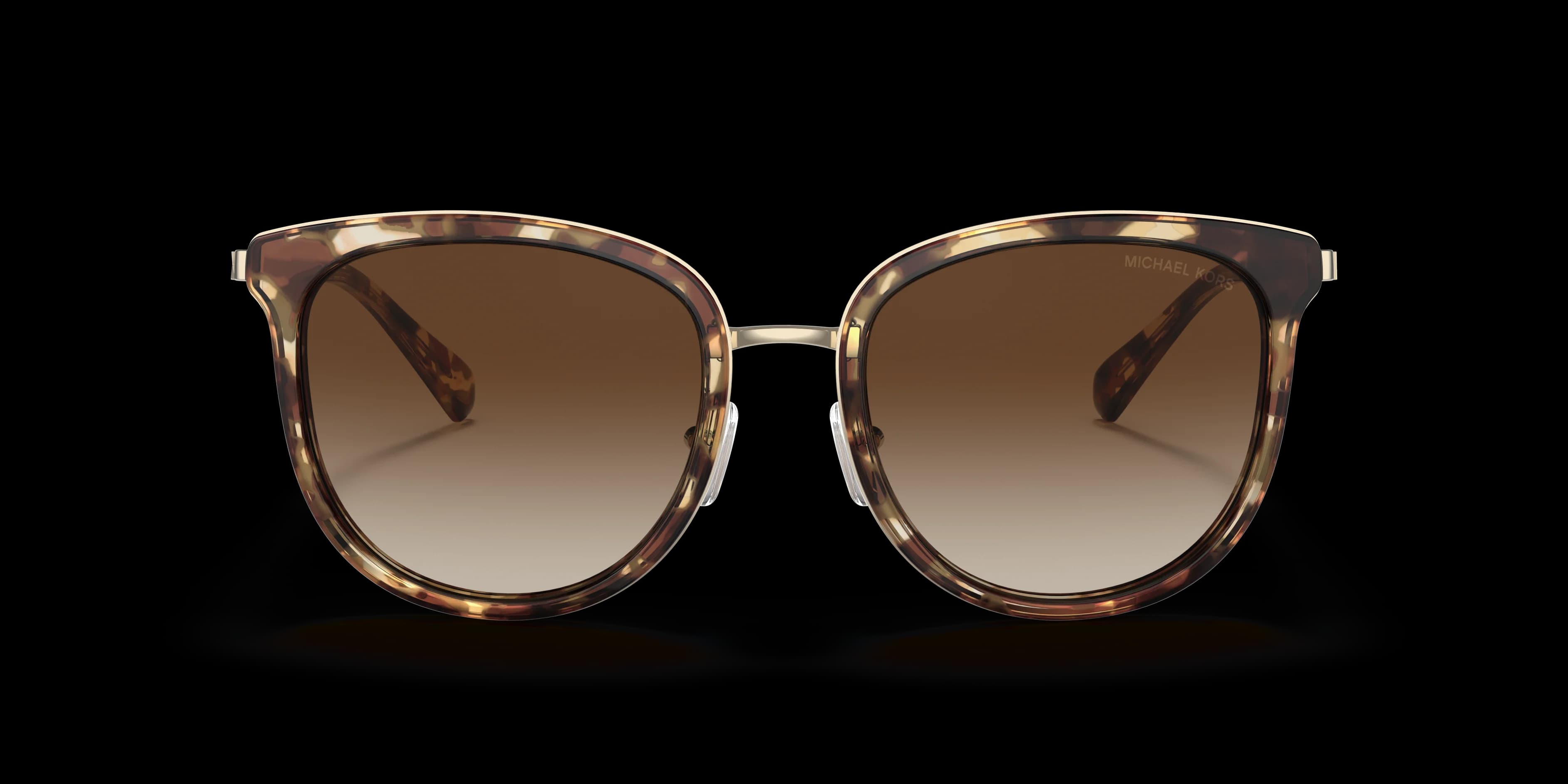 302813 - JET SET TORTOISE